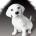 ubino's Avatar